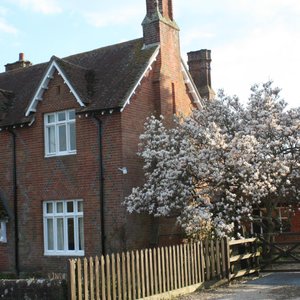 Welcoming  Magnolia