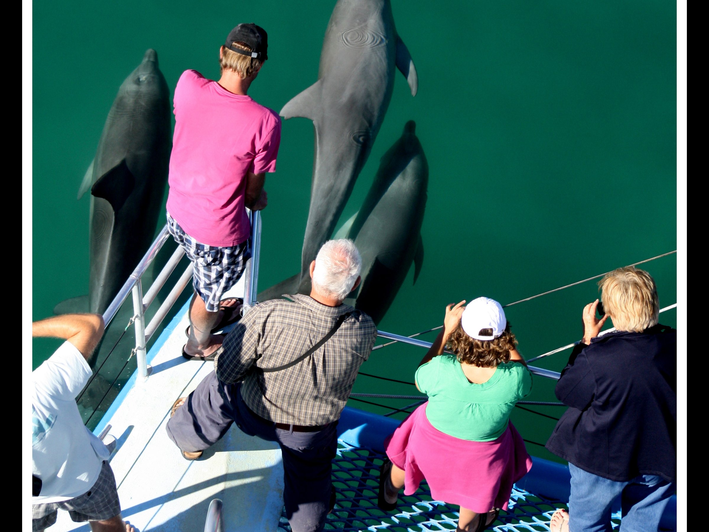 Perfect Nature Cruises (Monkey Mia) All You Need to Know