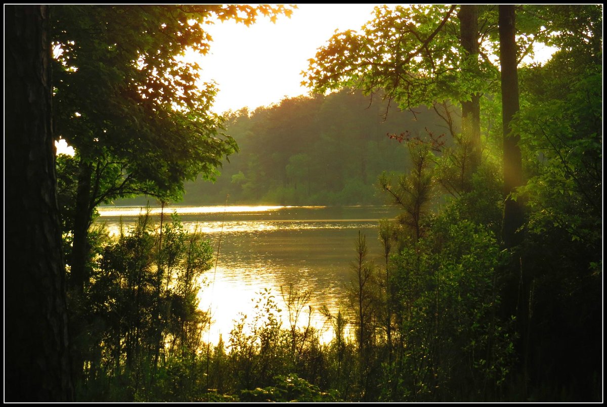 Escape to Serenity: Big Hart Campground, Georgia's Hidden Gem