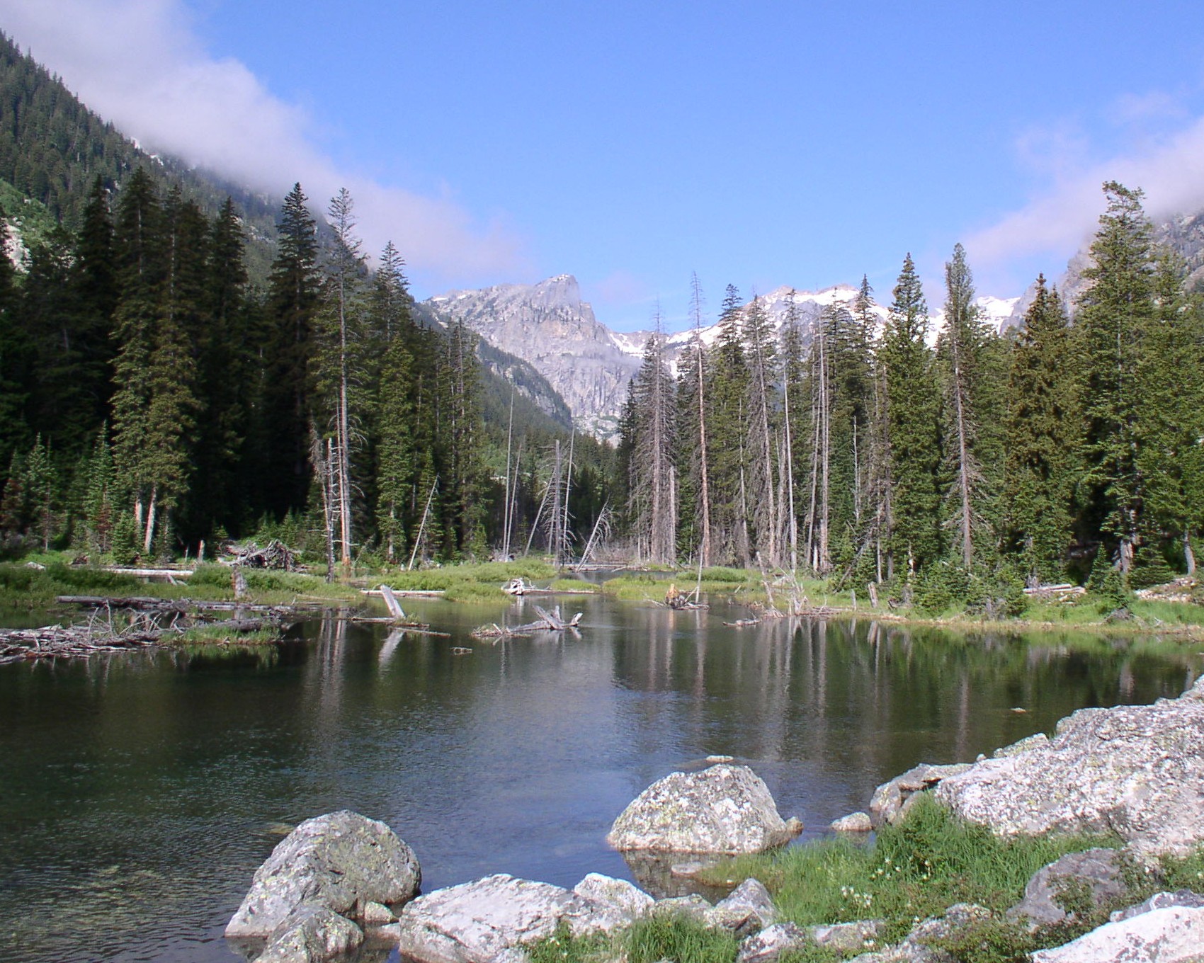 Teton hotsell canyon trail