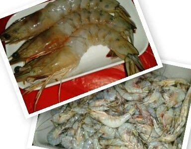 Jumbo Langostinos