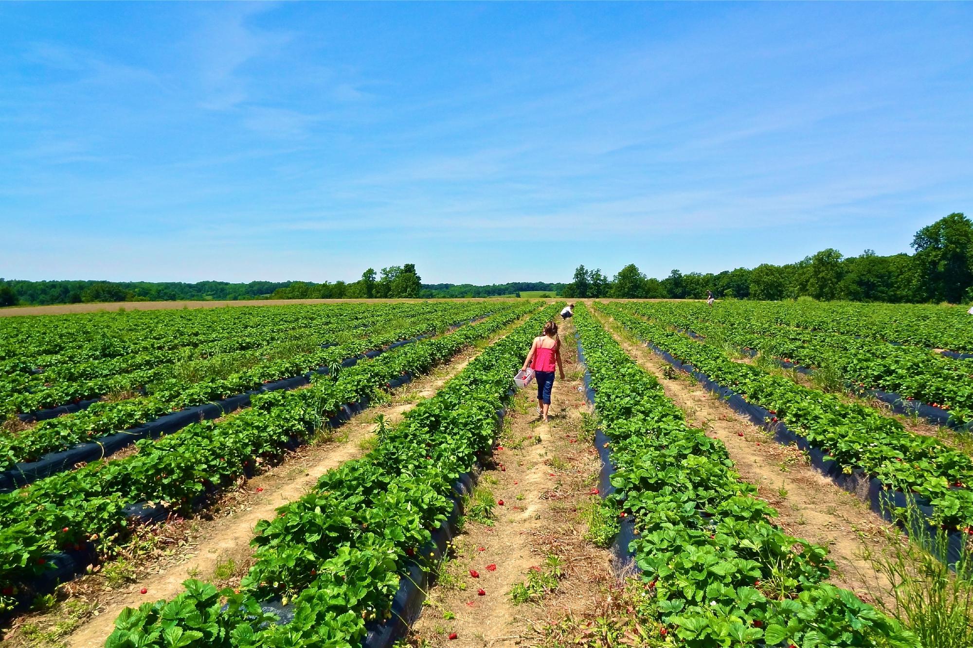 Bottom View Farm (Portland) - 2021 Alles Wat U Moet Weten VOORDAT Je ...