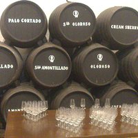Postal con los tipos de vinos de la bodega