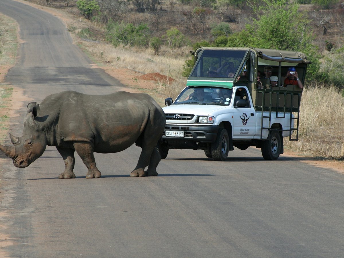 safari center nelspruit