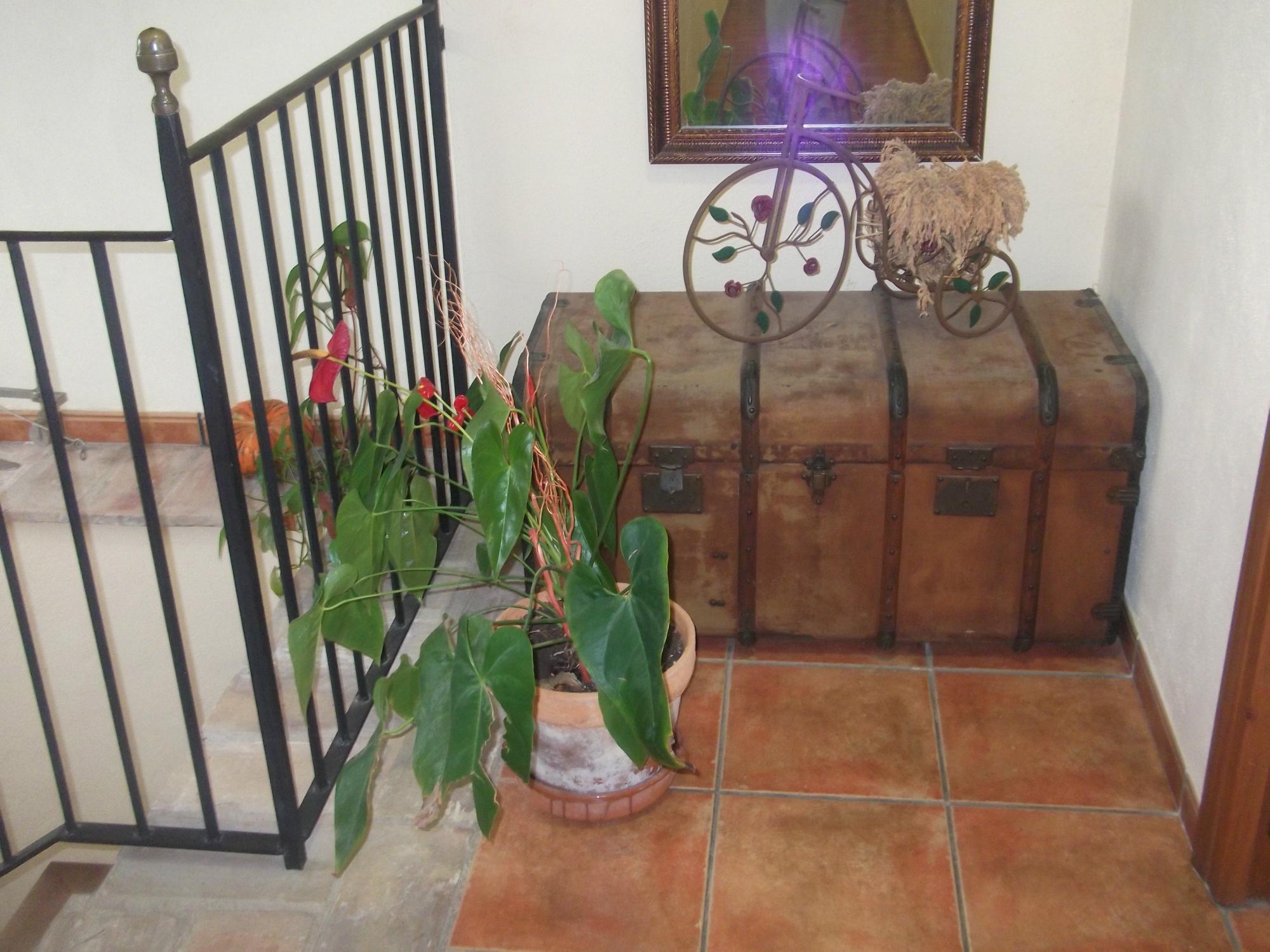 Hotel photo 28 of Mas del Tancat.