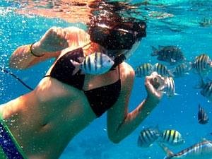 Cozumel Cruise Excursions - Island Marketing Ltd - Private Tours - All You  Need to Know BEFORE You Go