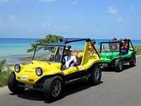 Cozumel Cruise Excursions - Island Marketing Ltd - Private Tours - All You  Need to Know BEFORE You Go