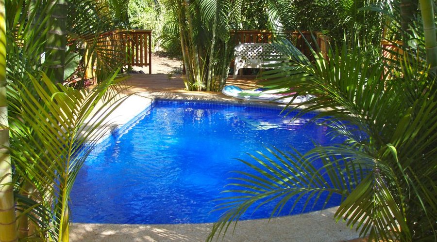 The Pool & Garden.