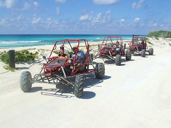 Cozumel Cruise Excursions - Island Marketing Ltd - Private Tours - All You  Need to Know BEFORE You Go