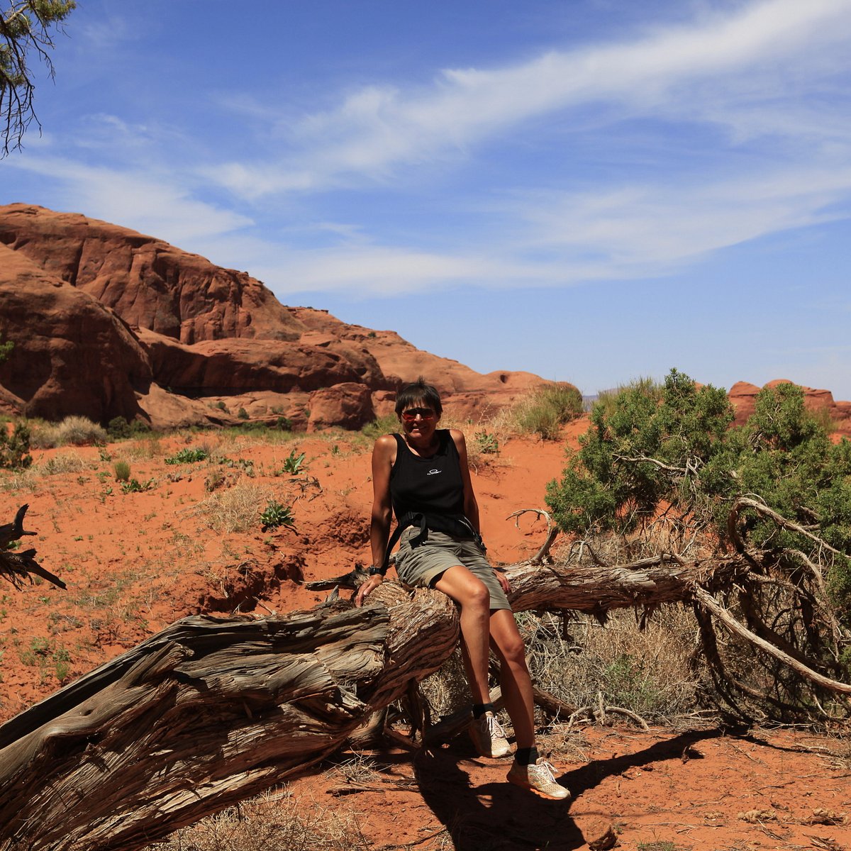 Хорошо аризона. Семья в Аризоне Мем. Mystery Valley. Arizona Wilson.