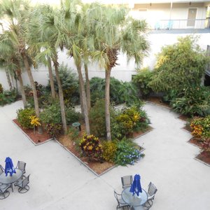 Center courtyard