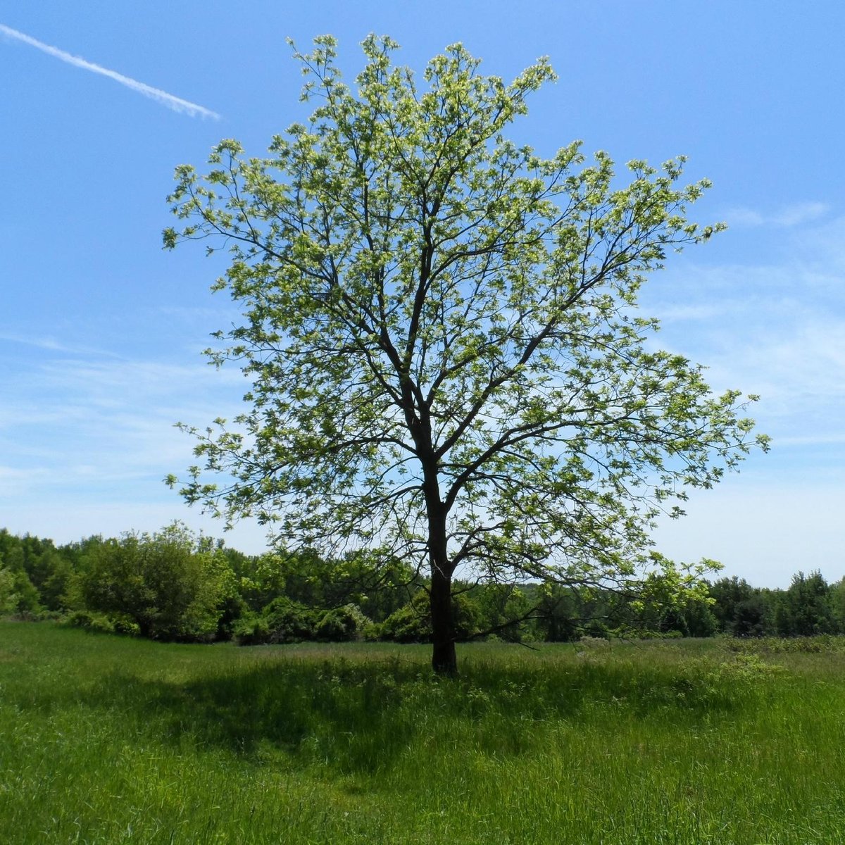 Mendon Ponds Park (Pittsford) - All You Need to Know BEFORE You Go