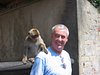 Brian Travels Without Fear