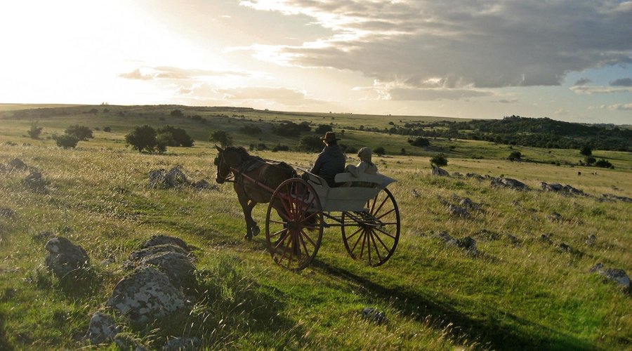 Paseo en zulki por el campo