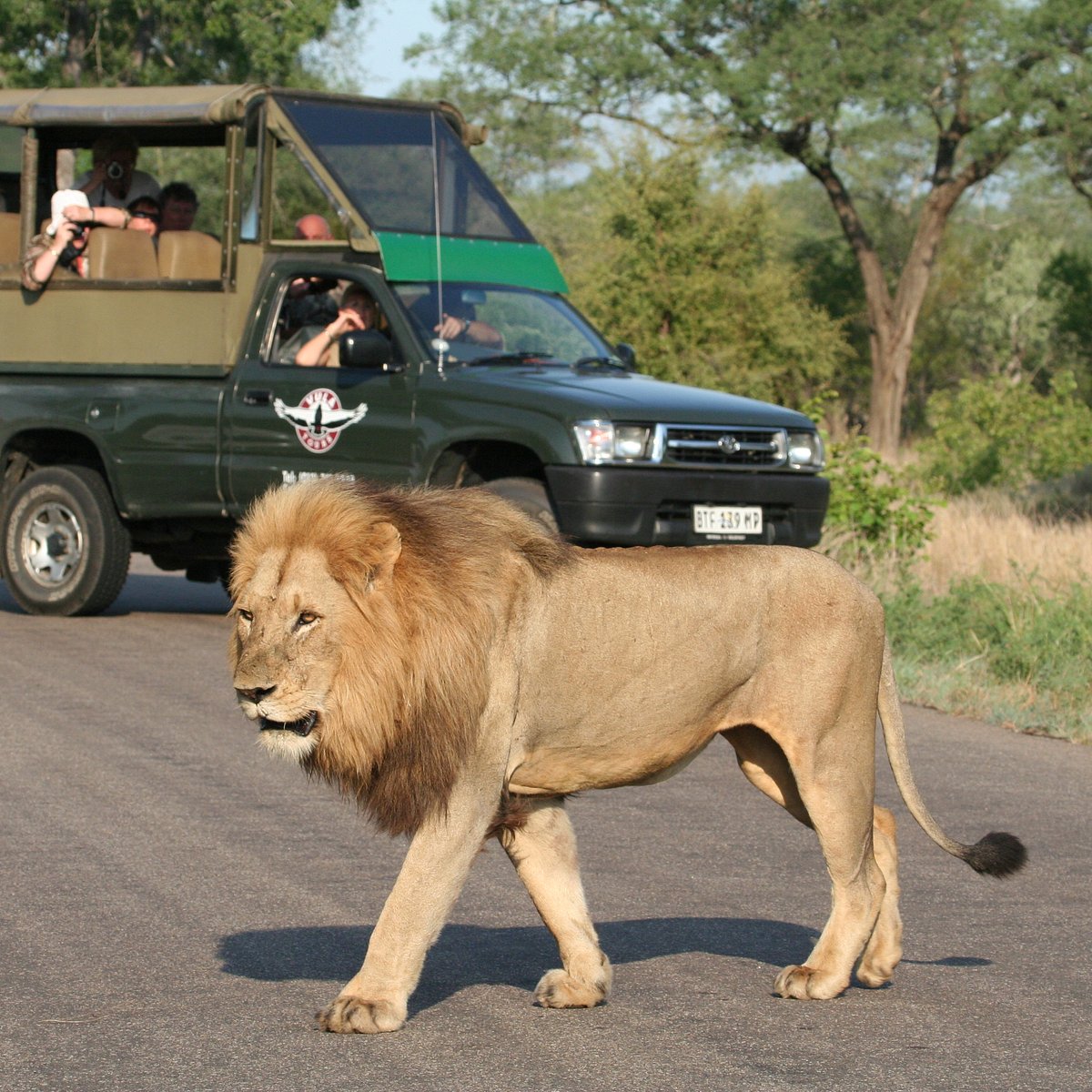 nelspruit safari tours