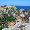 Things To Do in Guernsey Taxi Tours, Restaurants in Guernsey Taxi Tours