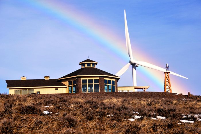 Spring Rainbow