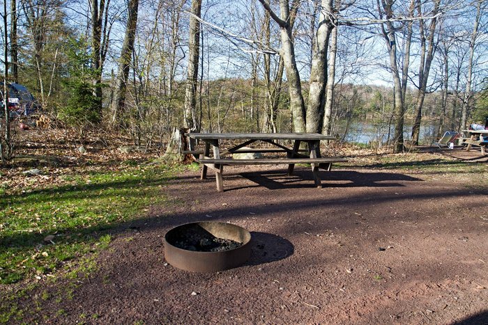 are dogs allowed camping ricketts glen state park