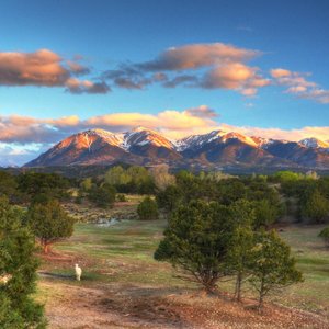 Sawatch range from the room!