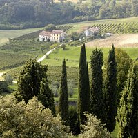 le colline del Prosecco