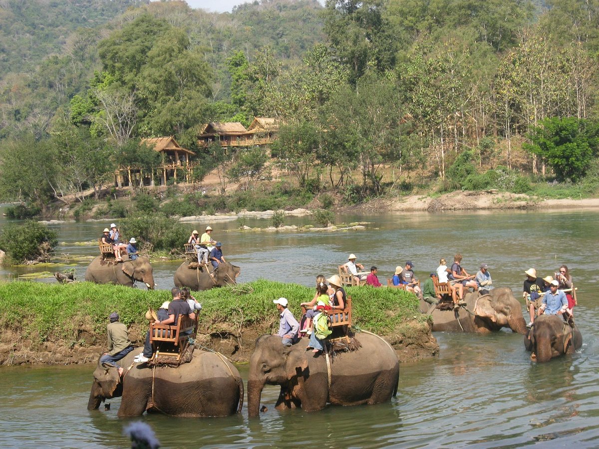 All Lao Elephant Camp (Luang Prabang) - All You Need to Know BEFORE You Go