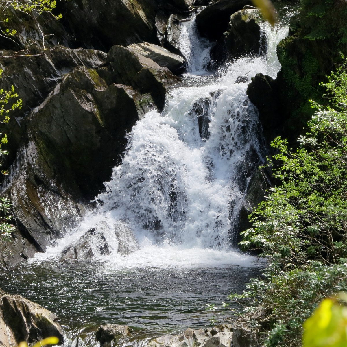 The Walks  Devils Bridge Falls