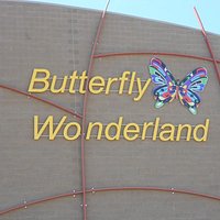 The New Butterfly Wonderland