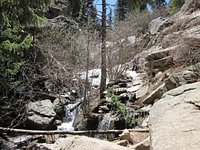 Hike Review: Maxwell Falls Trail, Conifer, CO — Team Be Outdoors