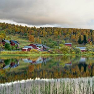 The farm