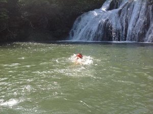 Khách du lịch
