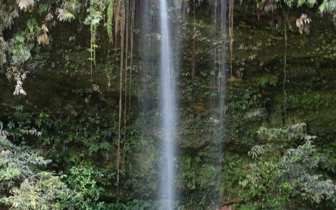 ランビル・ヒルズ国立公園の