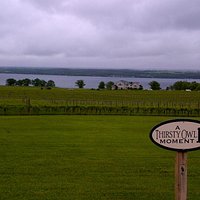 Great view at Thirsty Owl Winery & Bistro
