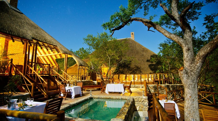 Marula Tree - Star Tracks