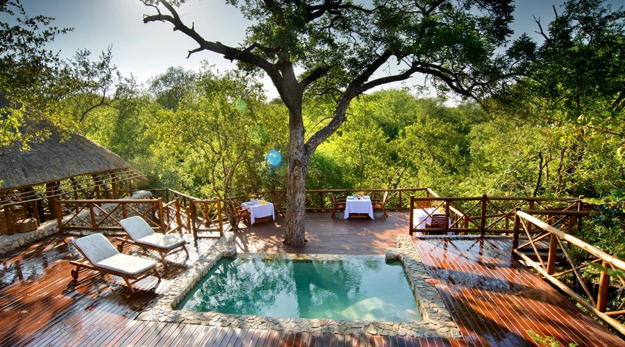 Marula Tree - Infinity Pool