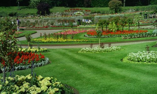 The Hidden Garden
