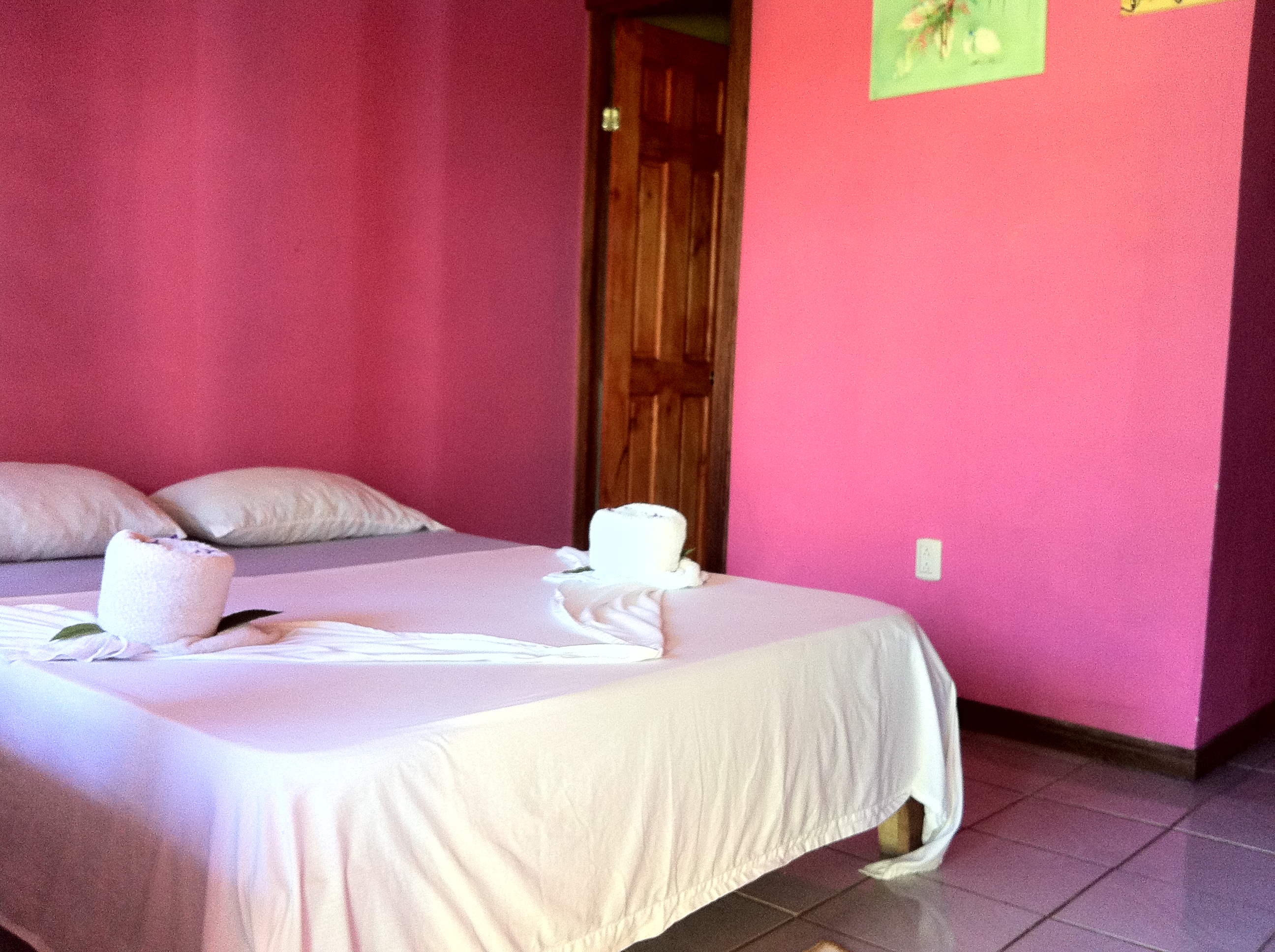Hotel photo 61 of Hotel El Icaco Tortuguero.