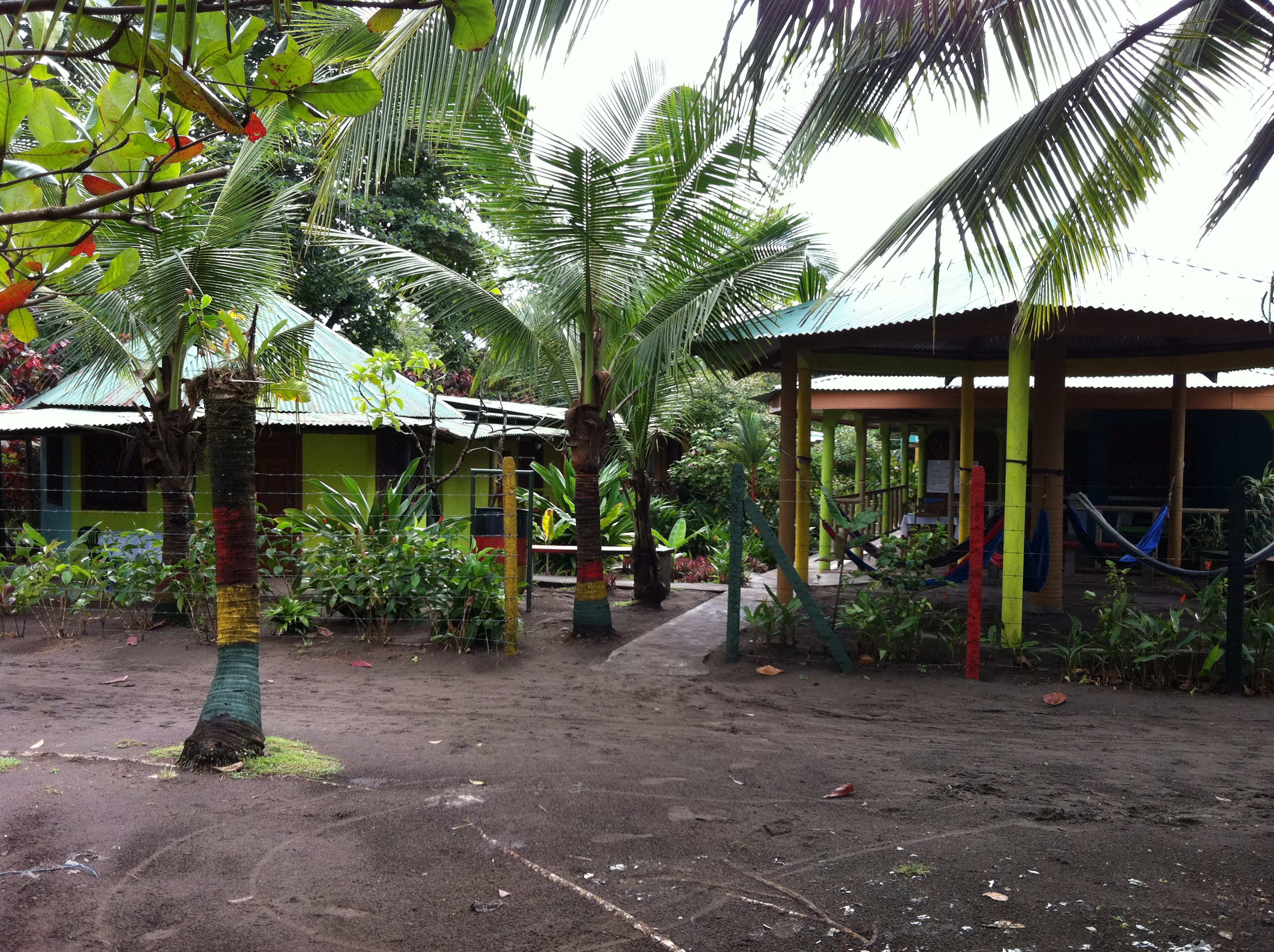 Hotel photo 33 of Hotel El Icaco Tortuguero.