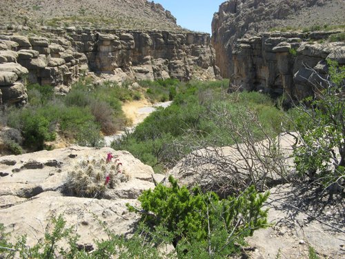 banks canyon tx