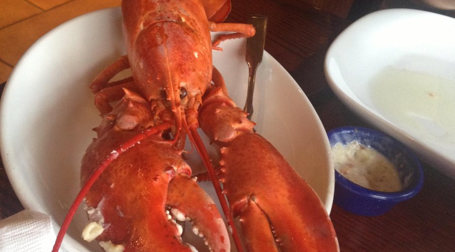 Red Lobster