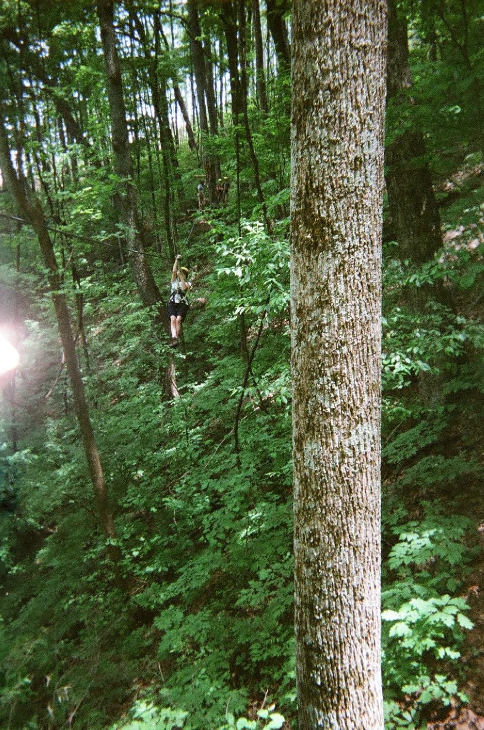 The Blue Ridge Canopy Adventure (2025) - All You Need to The Blue Ridge Canopy Adventure (2025) - All You Need to