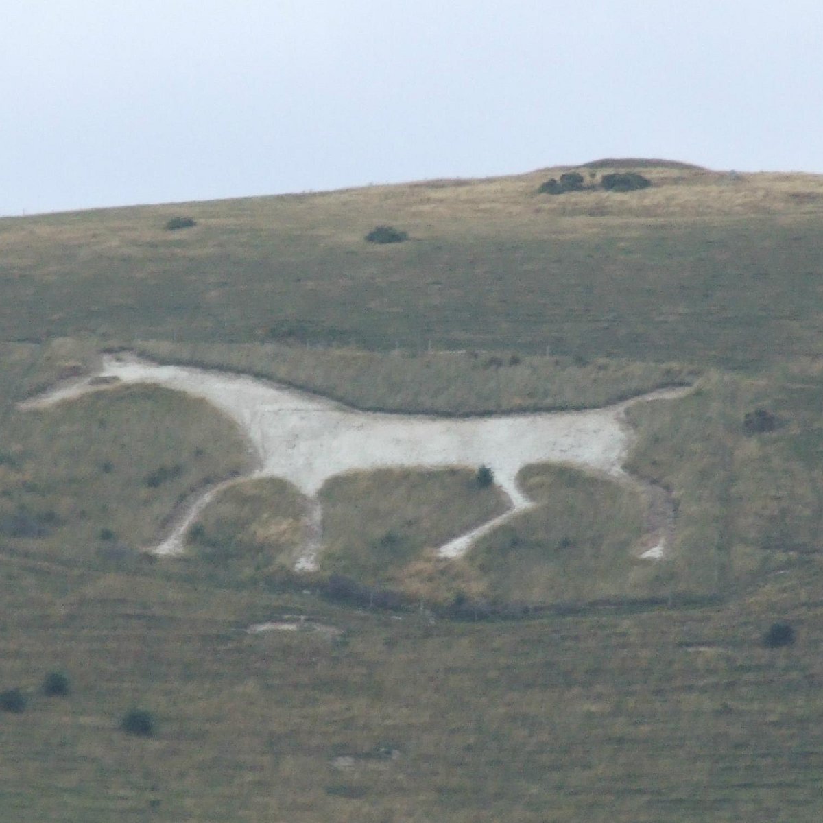 alton barnes white horse