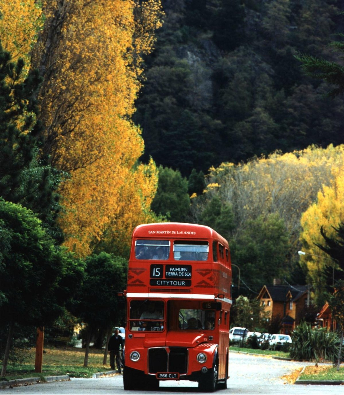 Redbus Citytour - All You Need to Know BEFORE You Go (2024)