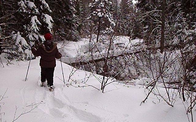 La raquette/Snowshoeing
