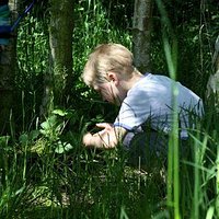 Scrimaging in the Secret Wood