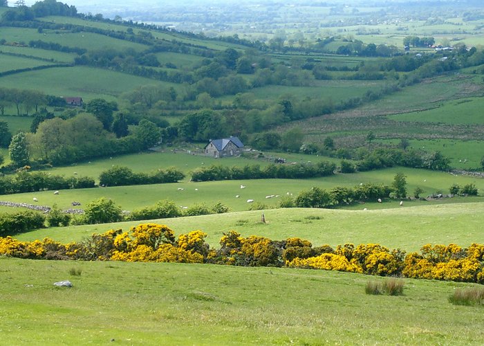 Loughcrew hill
