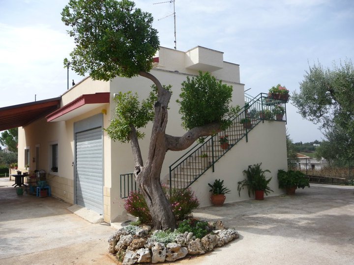 B&B TRULLO DELLE RONDINI (Alberobello, Italie - Pouilles) - Tarifs 2024