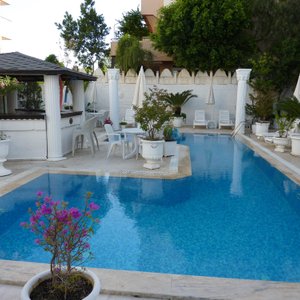 The Pool