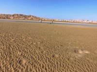 Cholla Bay (Puerto Penasco) - All You Need to Know BEFORE You Go