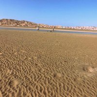 Cholla Bay (Puerto Penasco) - All You Need to Know BEFORE You Go