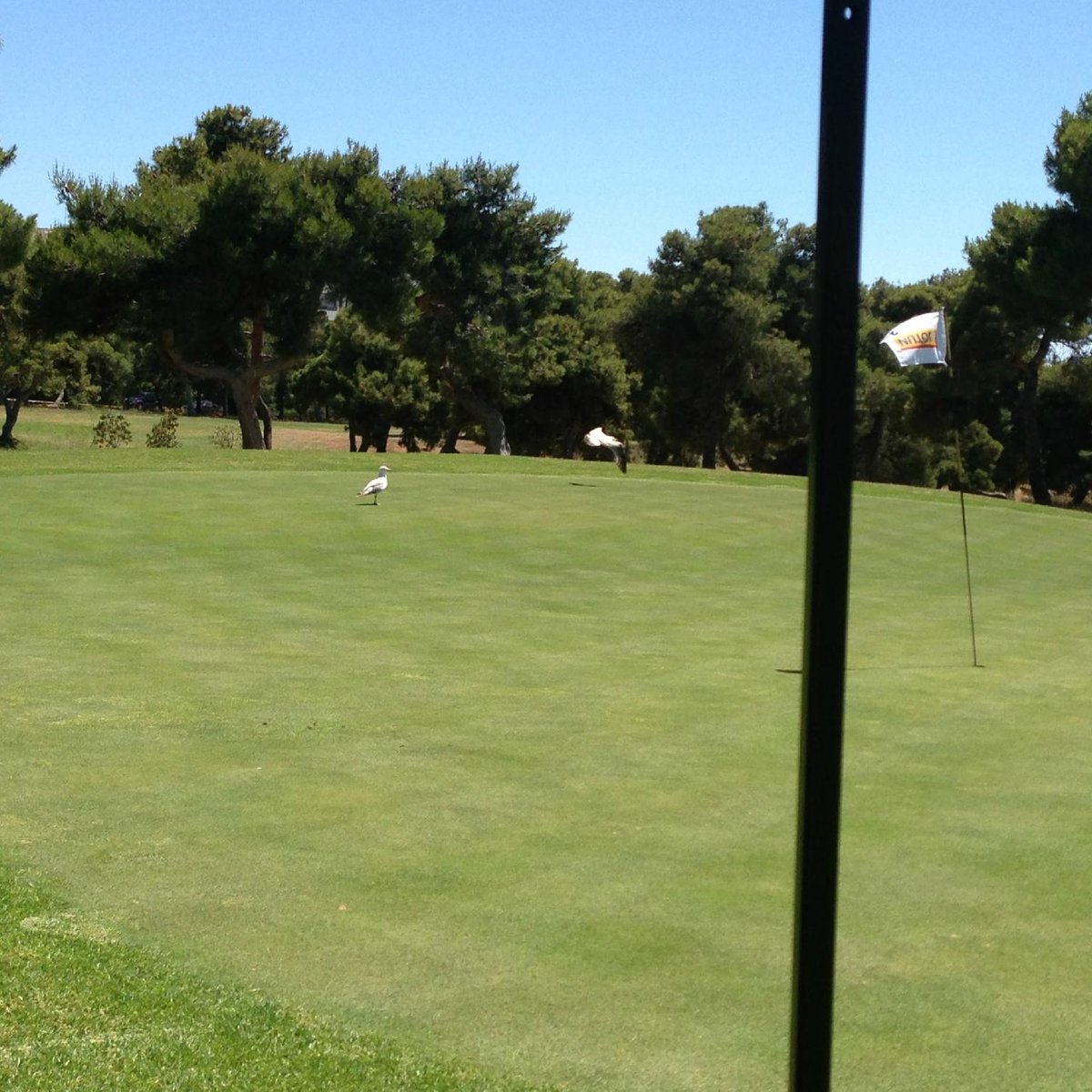 GLYFADA GOLF COURSE (Athens) 2022 What to Know BEFORE You Go